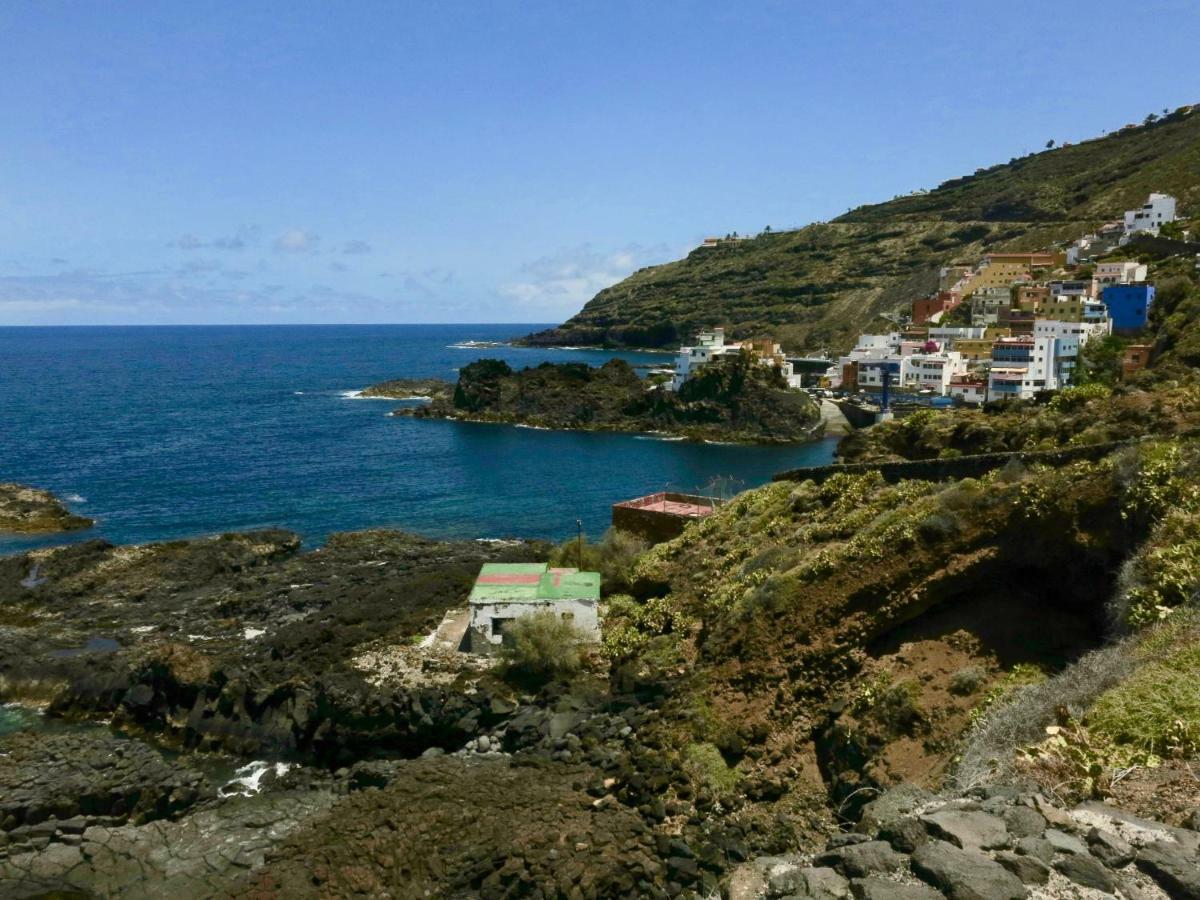 El Roque 205 - Sustainability Off The Beaten Track Tacoronte Eksteriør bilde