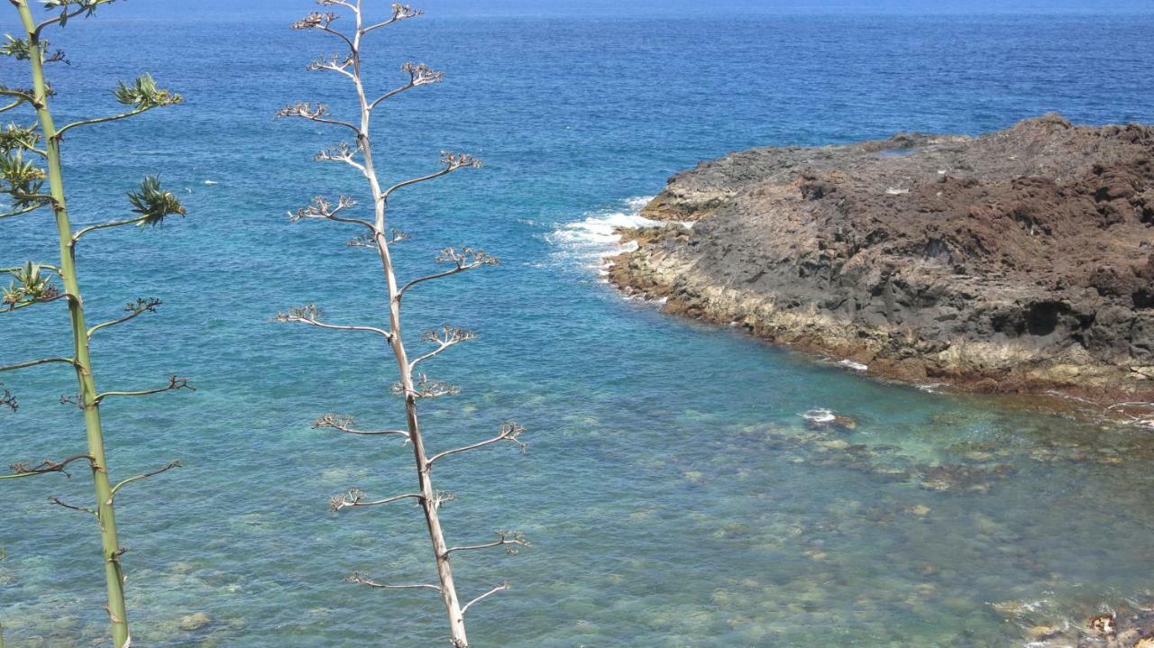 El Roque 205 - Sustainability Off The Beaten Track Tacoronte Eksteriør bilde
